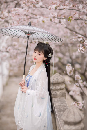 电影《金悔瓶》免费观